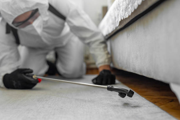 Professional Bed Bug Control technician working in Elkins, AR