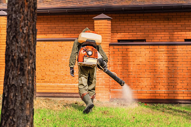 Trusted Cockroach Control service in Elkins, AR - Nex Pest Control